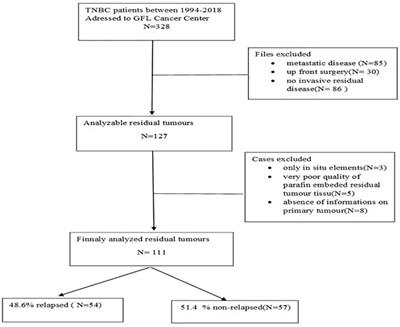 Pathologic and immunohistochemical prognostic markers in residual triple-negative breast cancer after neoadjuvant chemotherapy